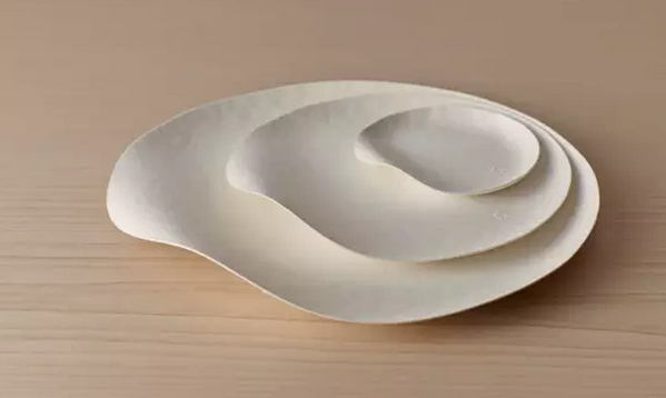 一次性餐具竟然美得像藝術(shù)品?。?）.png